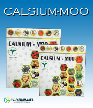 Calsium Moo