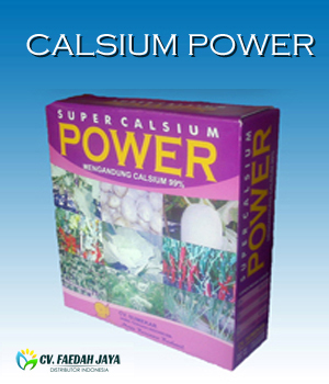 Calsium Power
