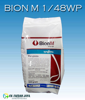 Bion M 1/48 WP