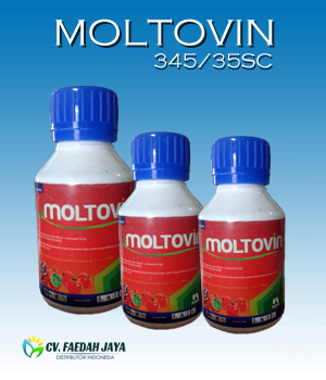 Moltovin 345/35 SC