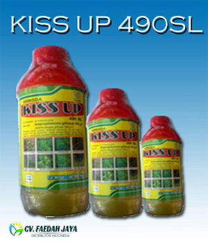 Kiss Up 490 SL