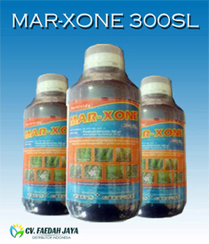 Marxone 300 SL