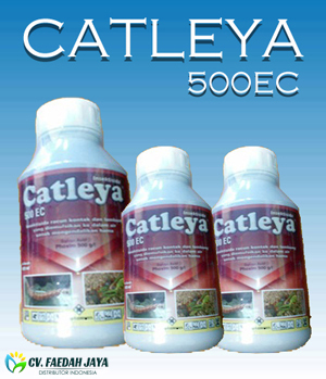 Catleya 500 EC