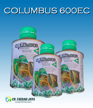Columbus 600 EC