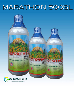 Marathon 500 SL