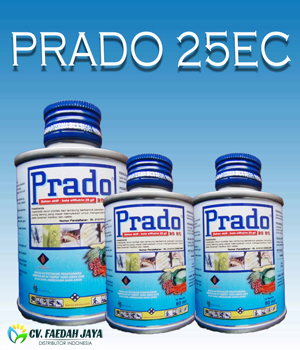 Prado 25 EC