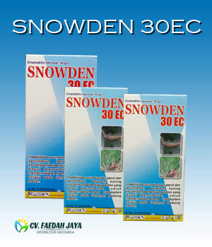 Snowden 30 EC