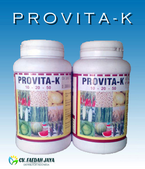 Provita K