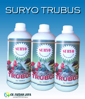 Suryo Trubus