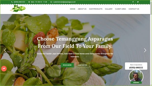 Asparagus
